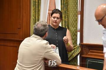 Pleno ordinario de julio de 2022/Francisco Javier Santana.